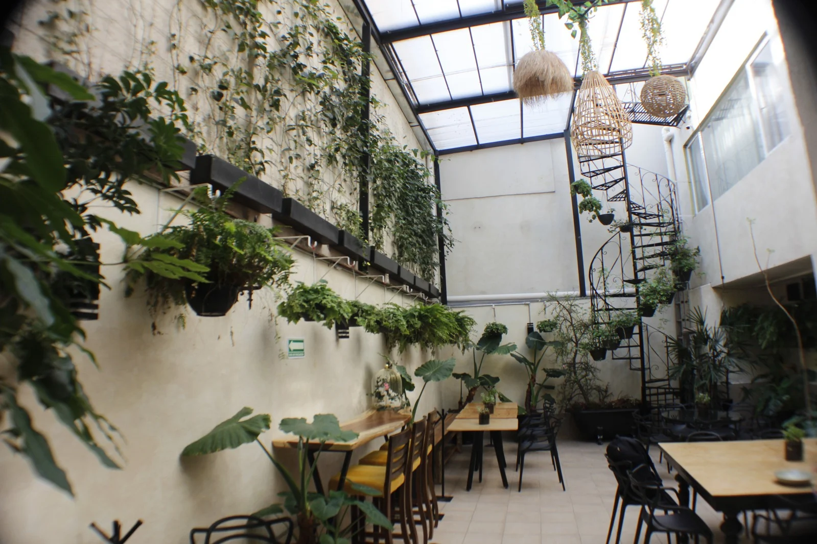 Flat White Condesa